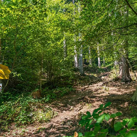 شقة Staymoovers - Gerlitzen & Ossiachersee Panorama, Nur 700m Zur Kanzelbahn أنينهايم